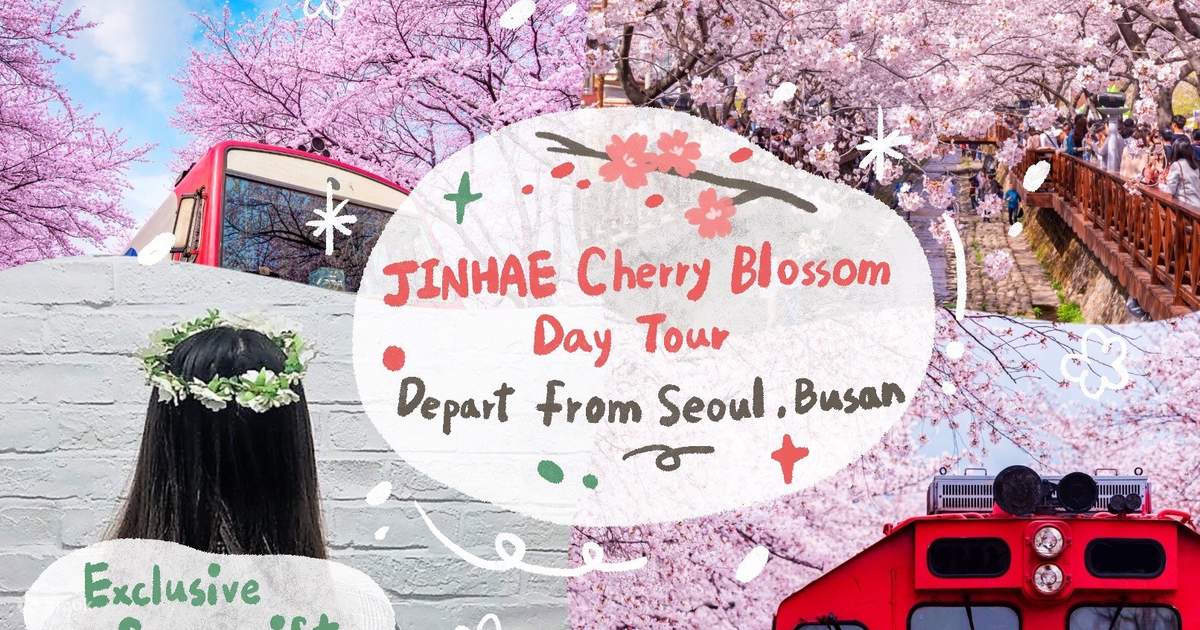 Jinhae Gunhangje Cherry Blossom Festival Day Tour from Seoul Klook